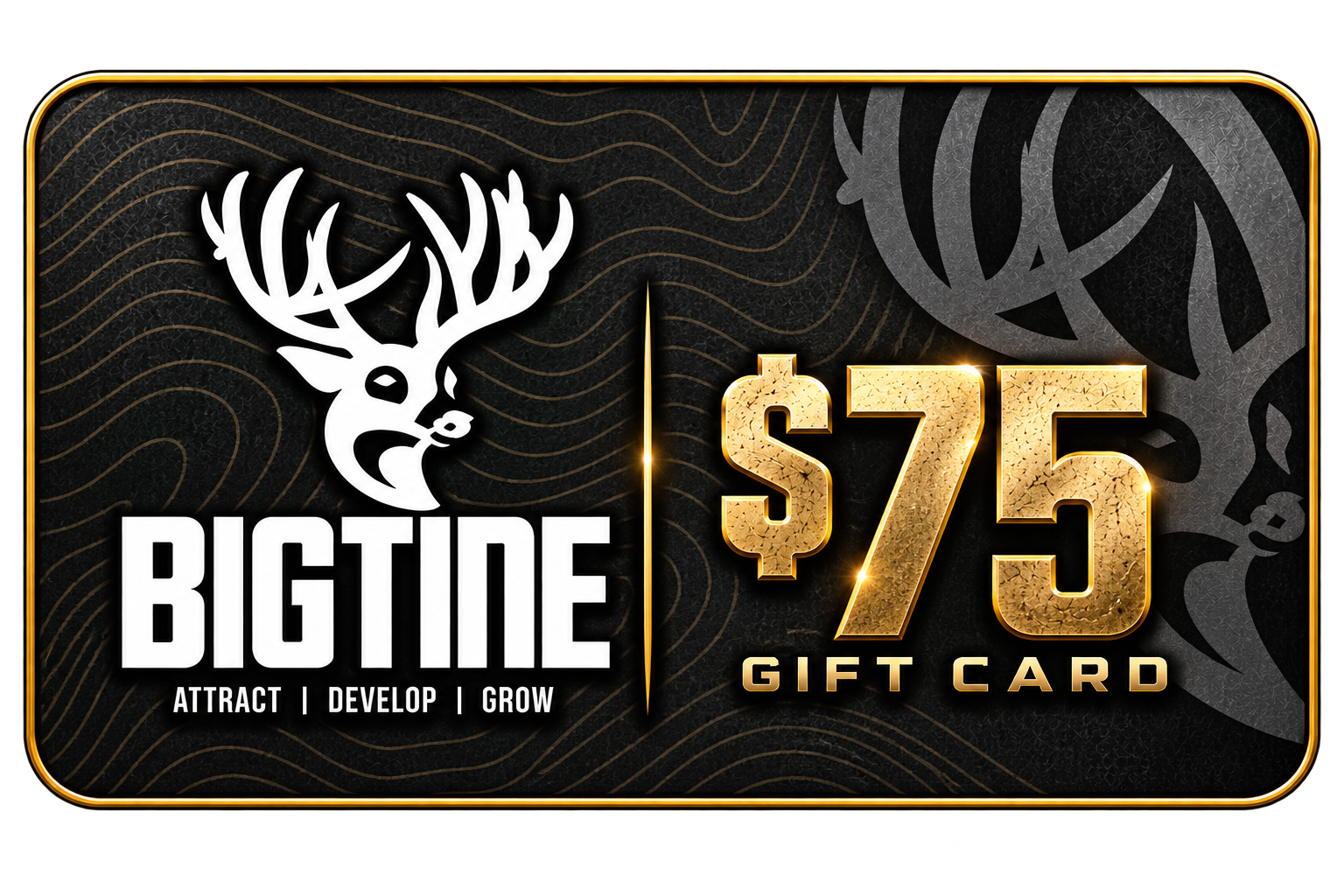BigTine Gift Card