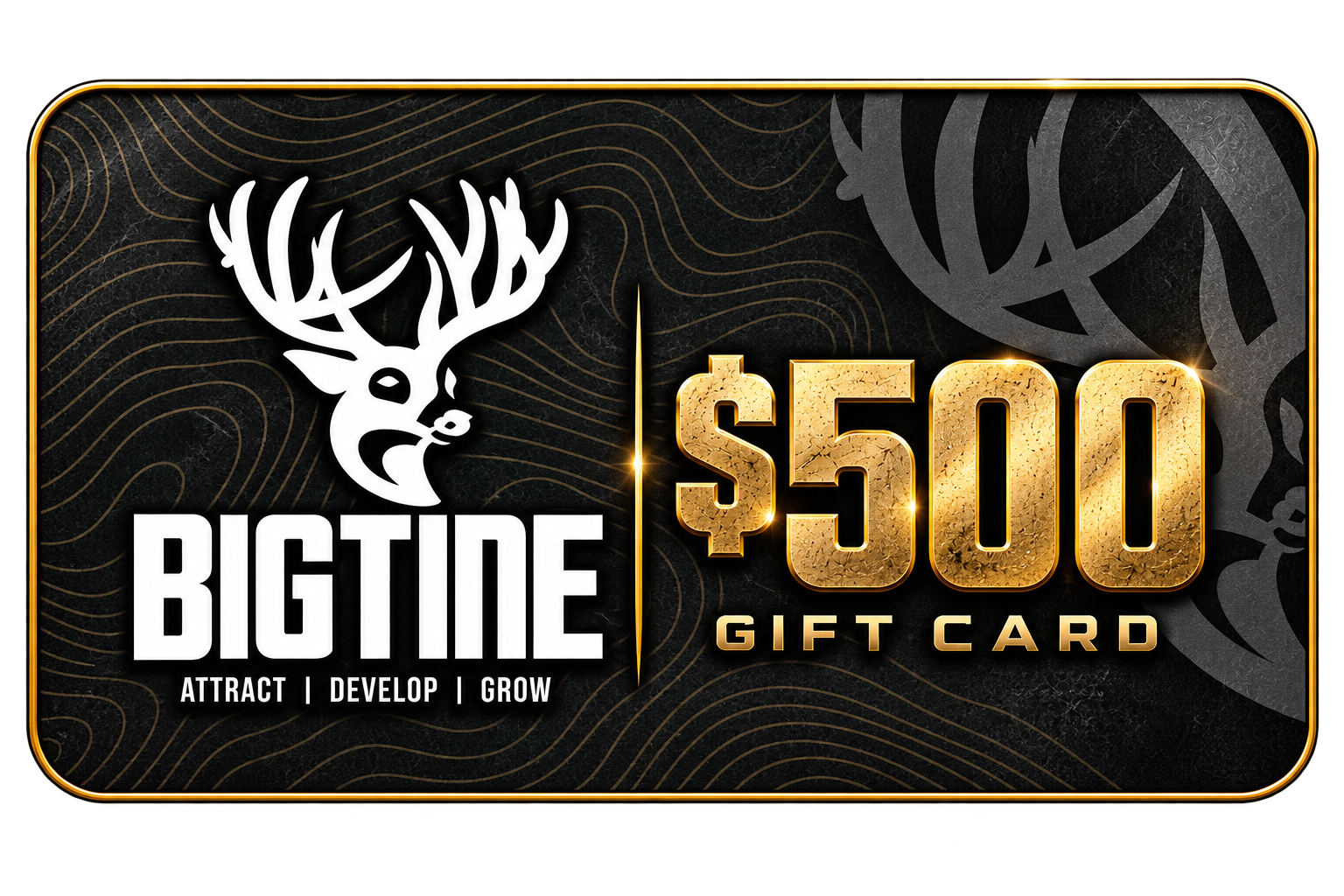 BigTine Gift Card