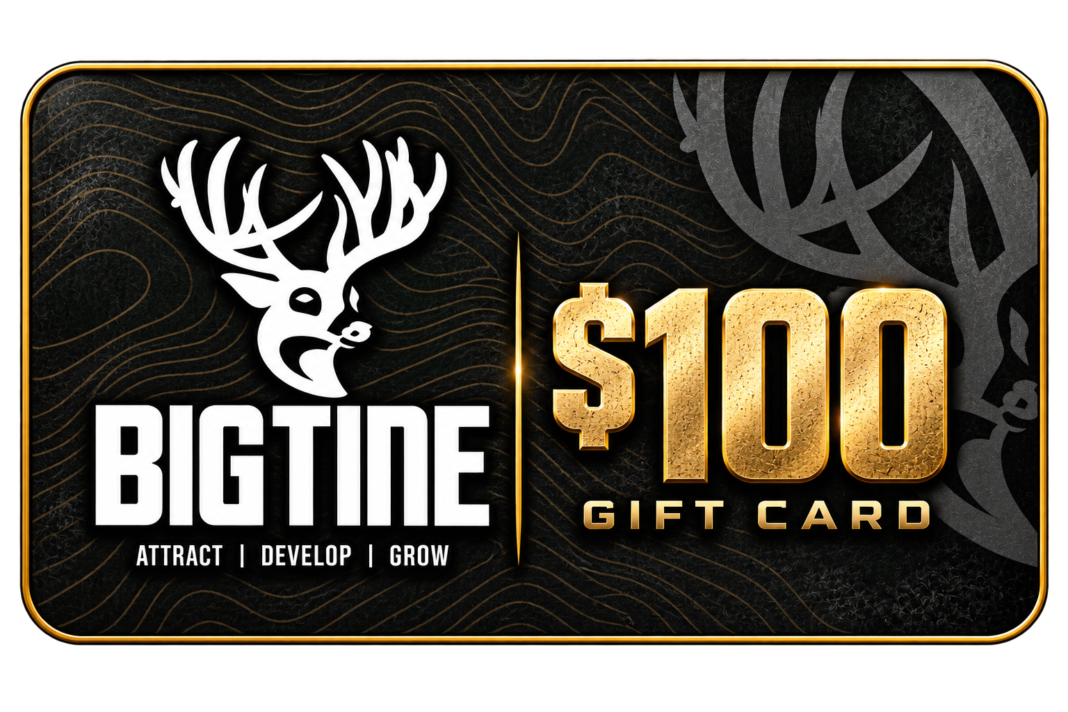 BigTine Gift Card
