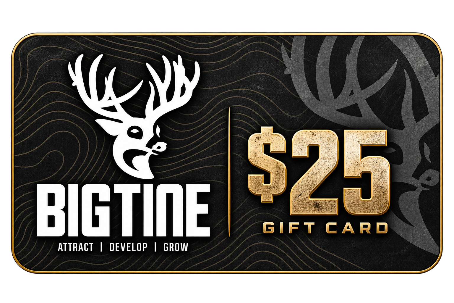 BigTine Gift Card