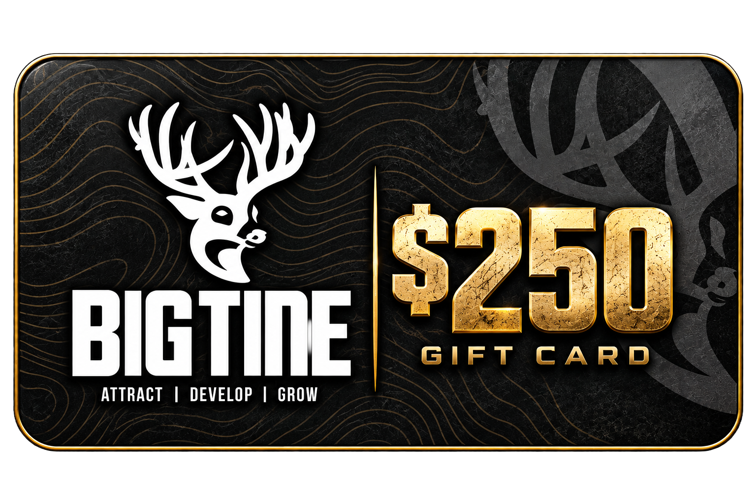 BigTine Gift Card