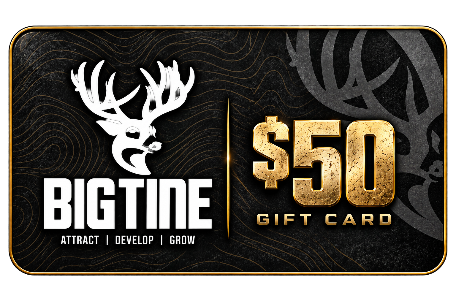 BigTine Gift Card