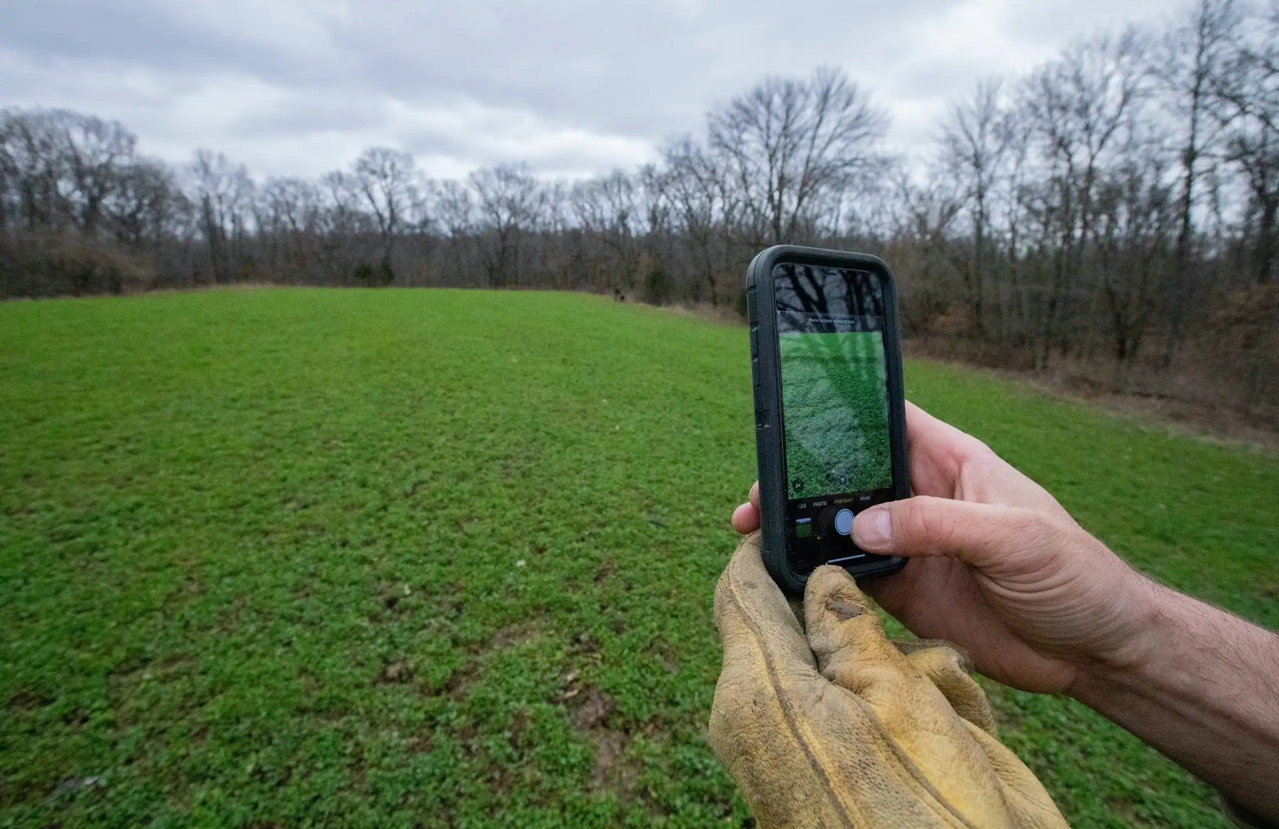 BIG TINE FOUNDATION CLOVER
