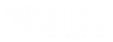 BigTine