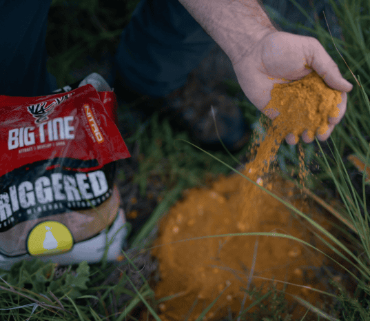 BIG TINE TRIGGERED PEAR