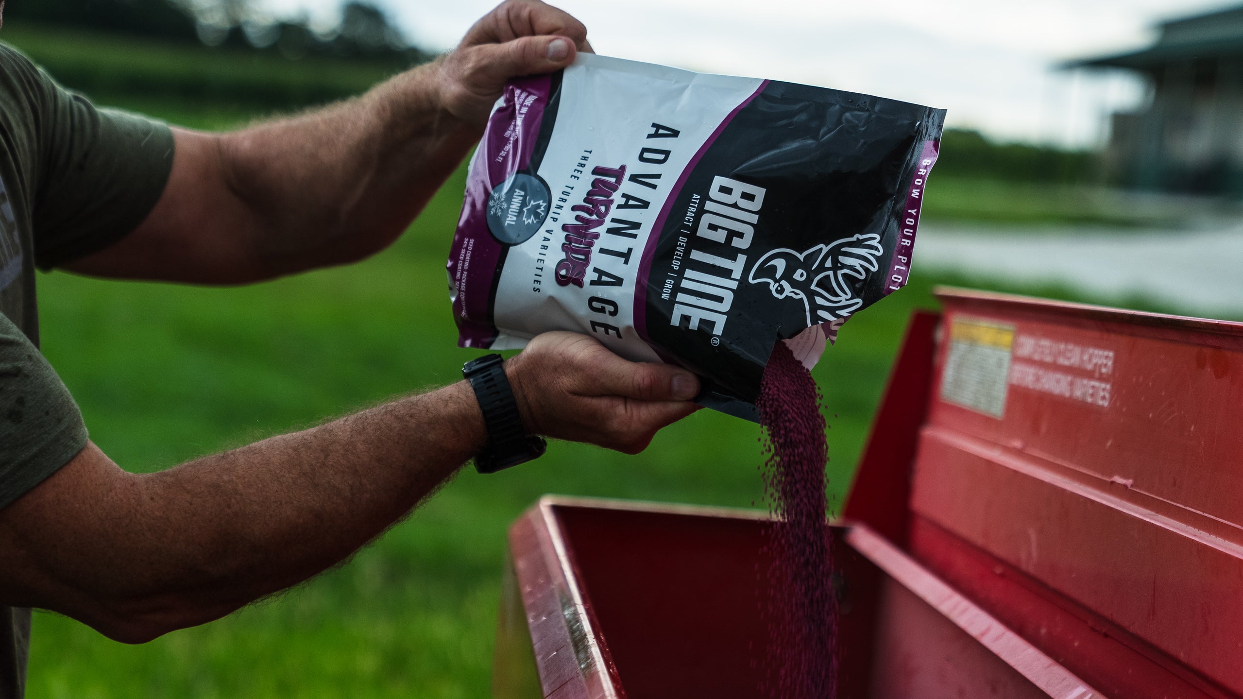BIG TINE ADVANTAGE TURNIPS