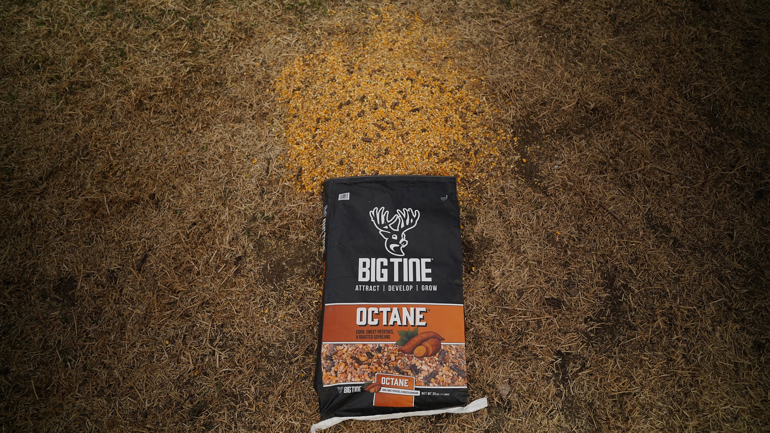 BIG TINE OCTANE PALLET