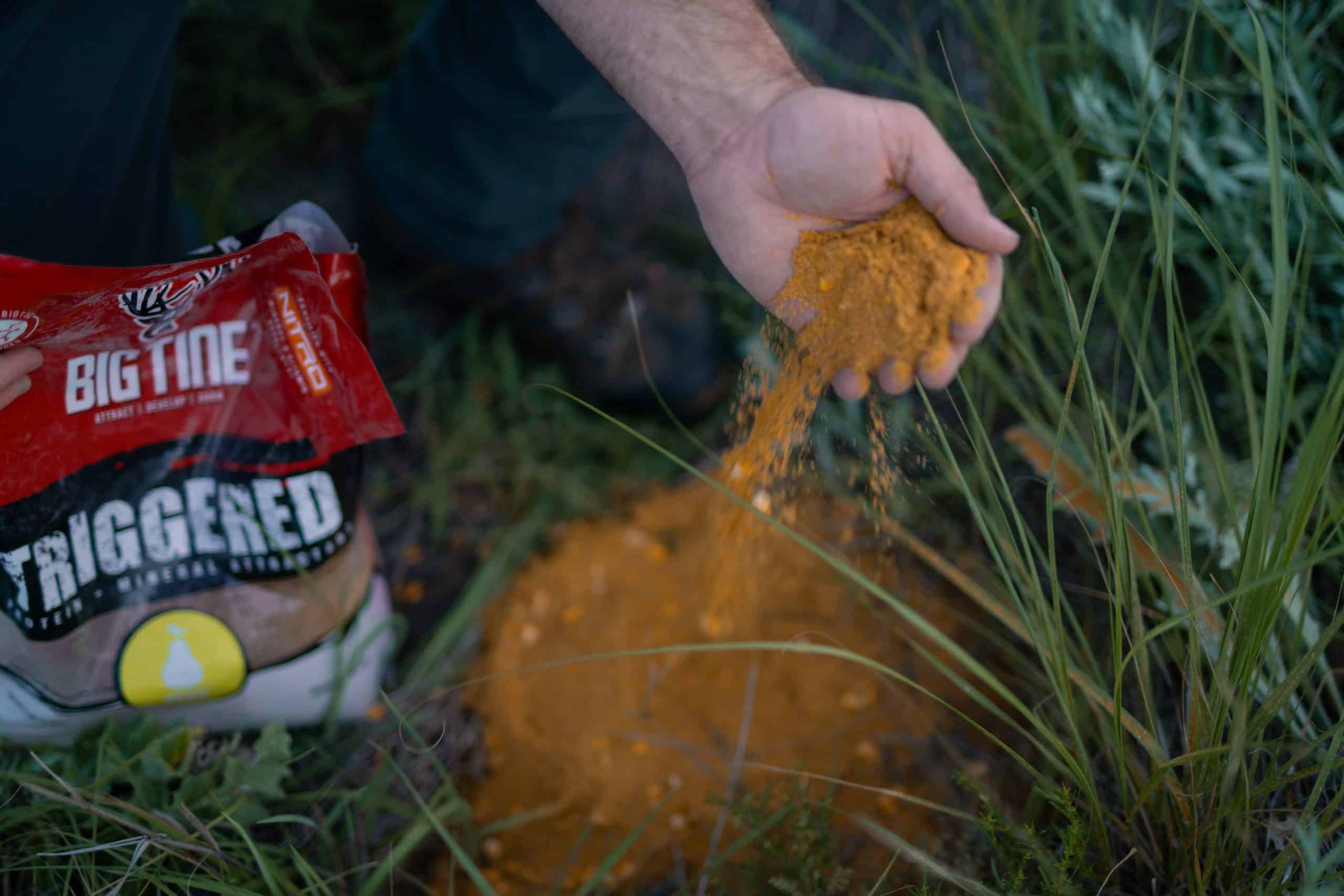 BIG TINE TRIGGERED PEAR