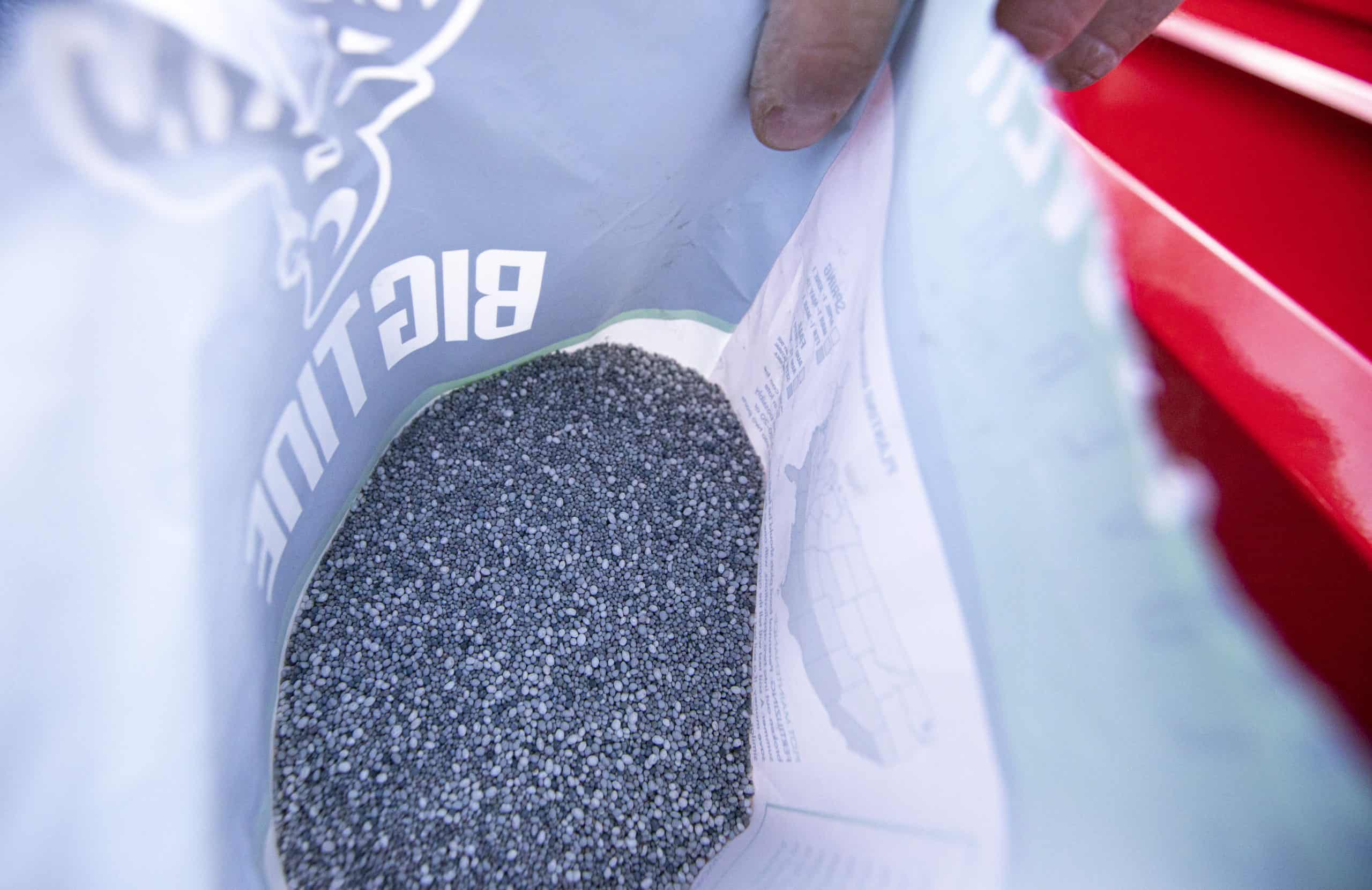 BIG TINE FOUNDATION CLOVER