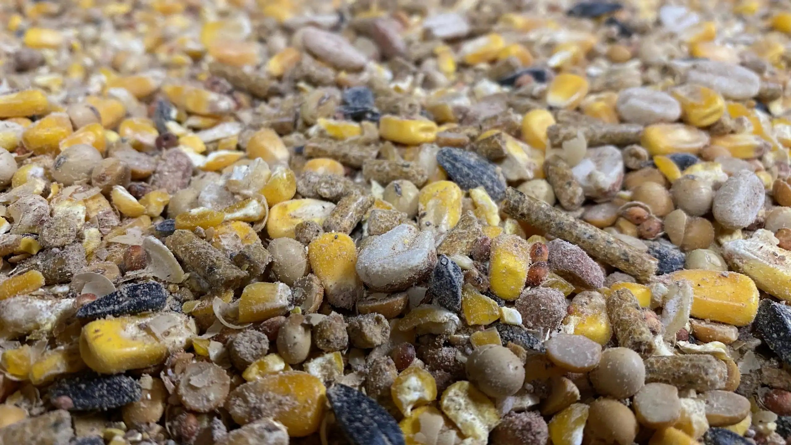 BIG TINE PLATINUM PALLET