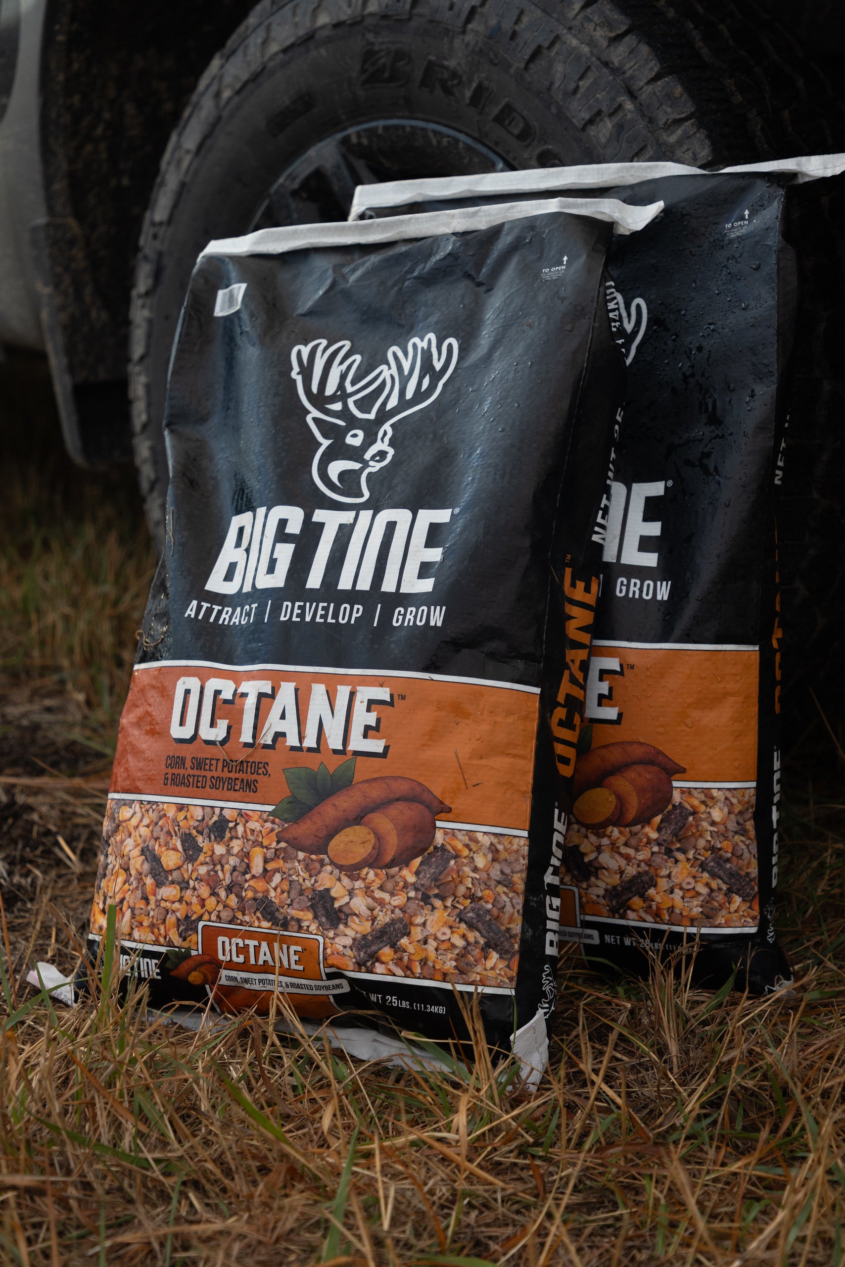 BIG TINE OCTANE PALLET