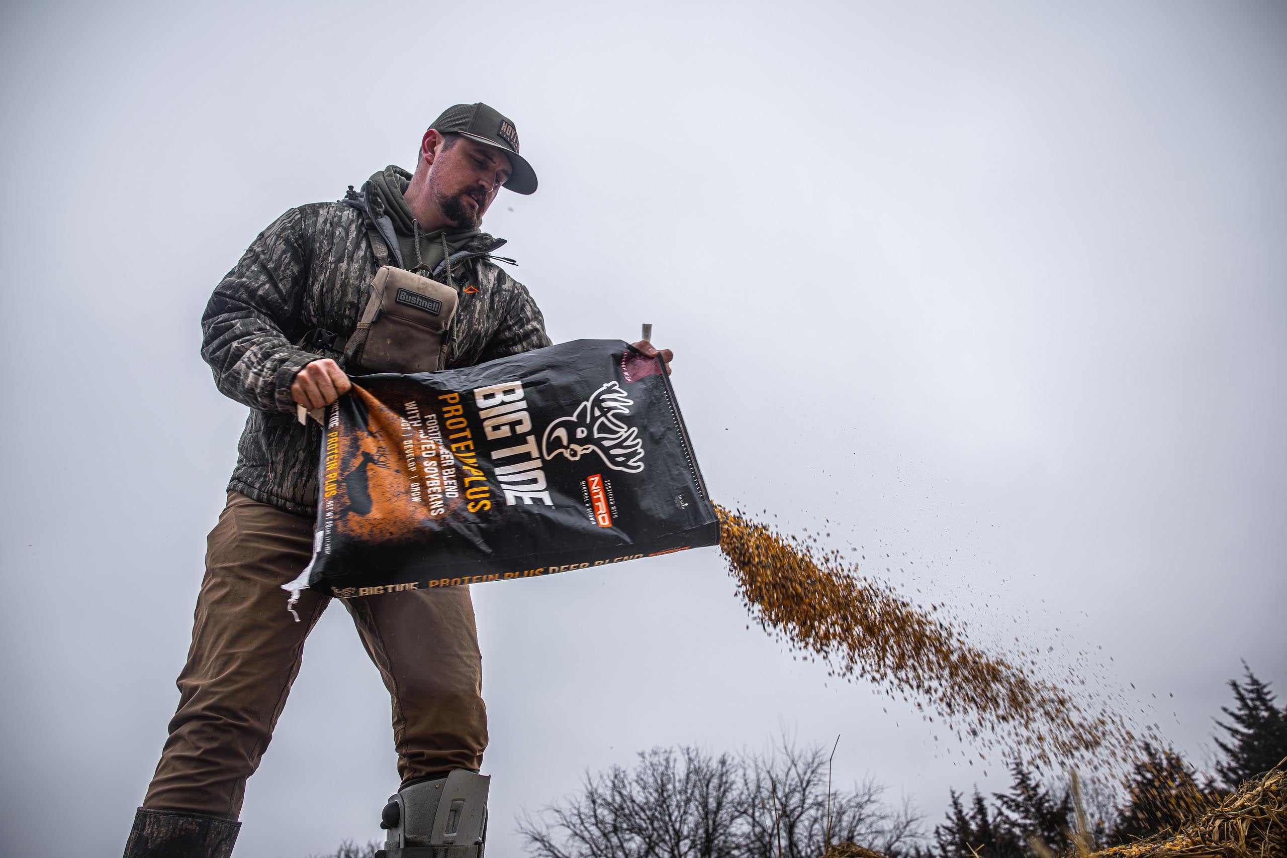 BIG TINE PROTEIN PLUS DEER BLEND