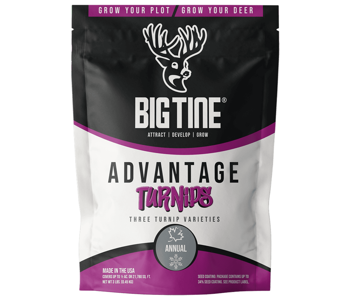 BIG TINE ADVANTAGE TURNIPS