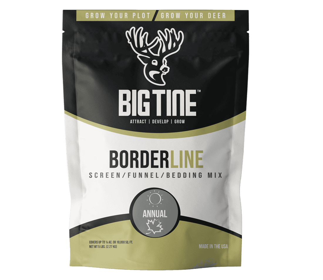 BIG TINE BORDERLINE