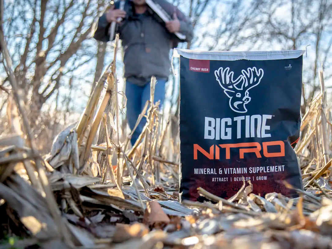 BIG TINE NITRO GRANULAR MINERAL & VITAMIN SUPPLEMENT
