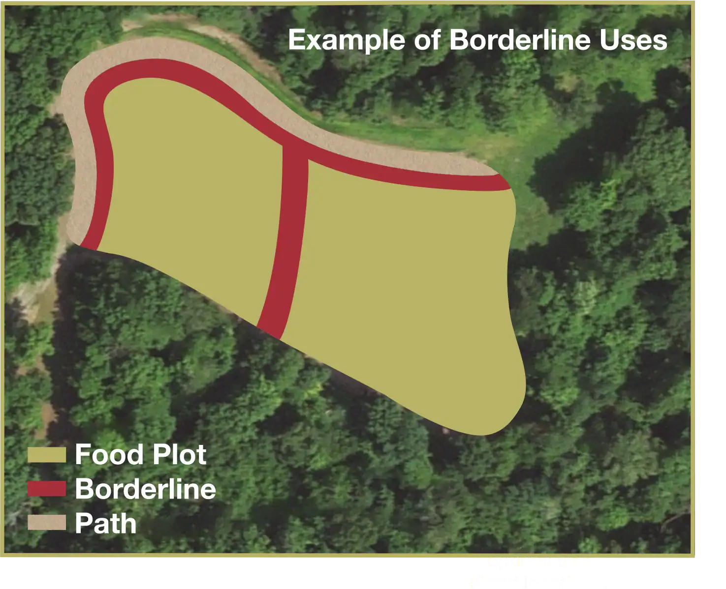 BIG TINE BORDERLINE