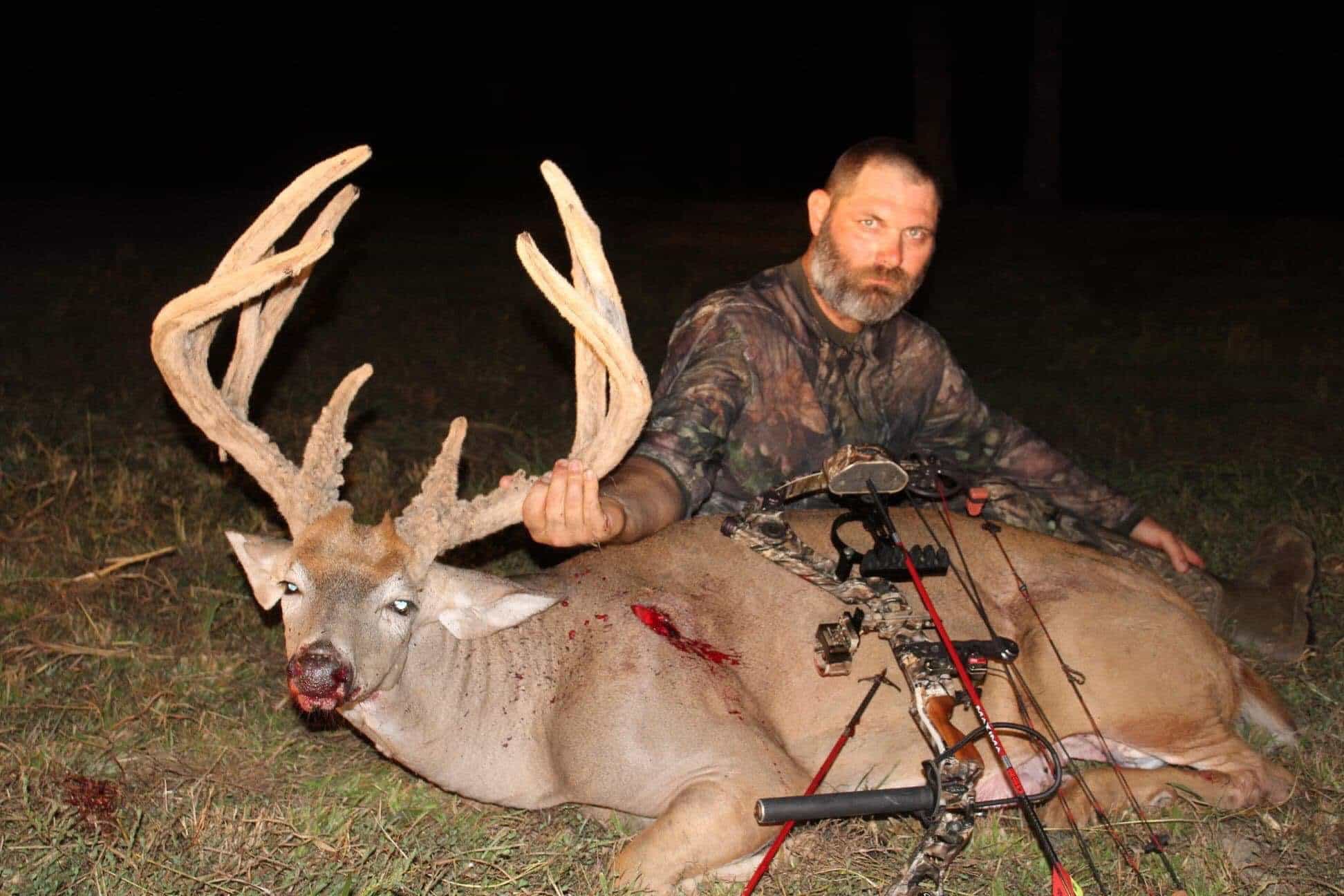 8 Point Whitetail Buck