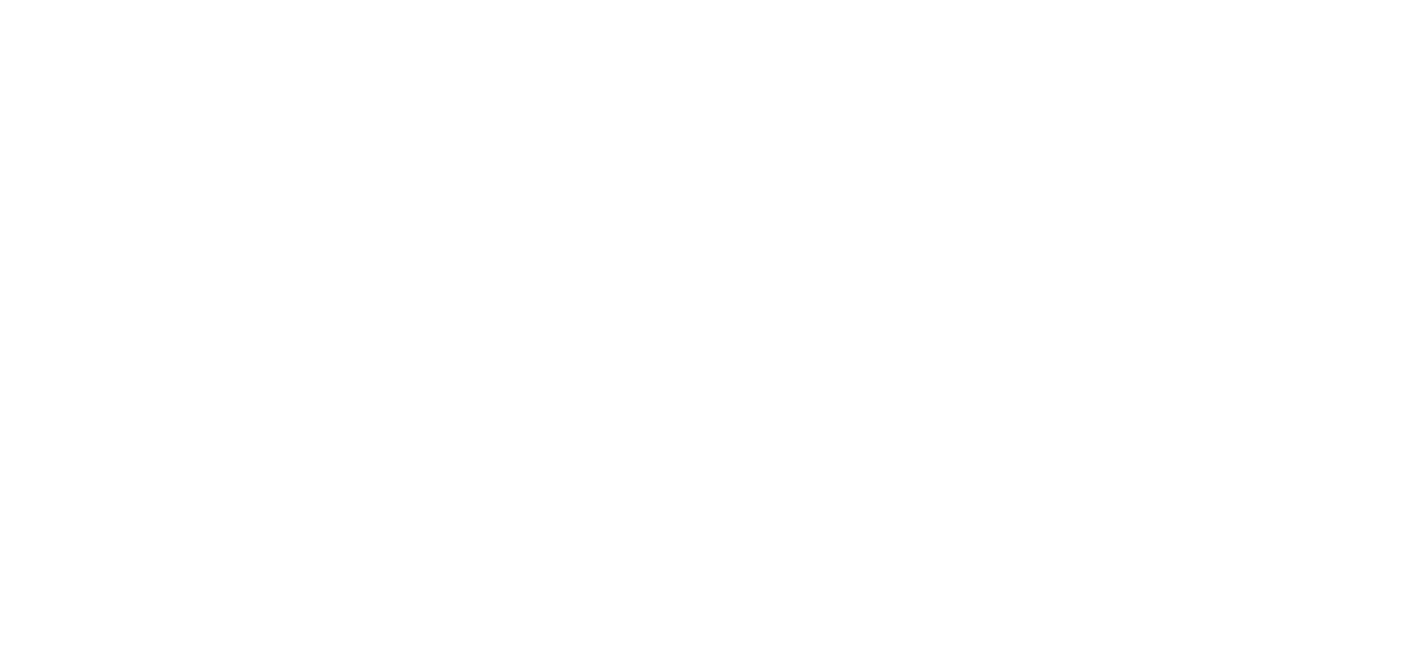 ture value logo