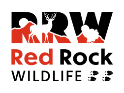 square-Red-Rock-Wildlife-logo-RGB-vertical